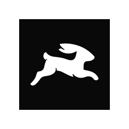 Directus logo